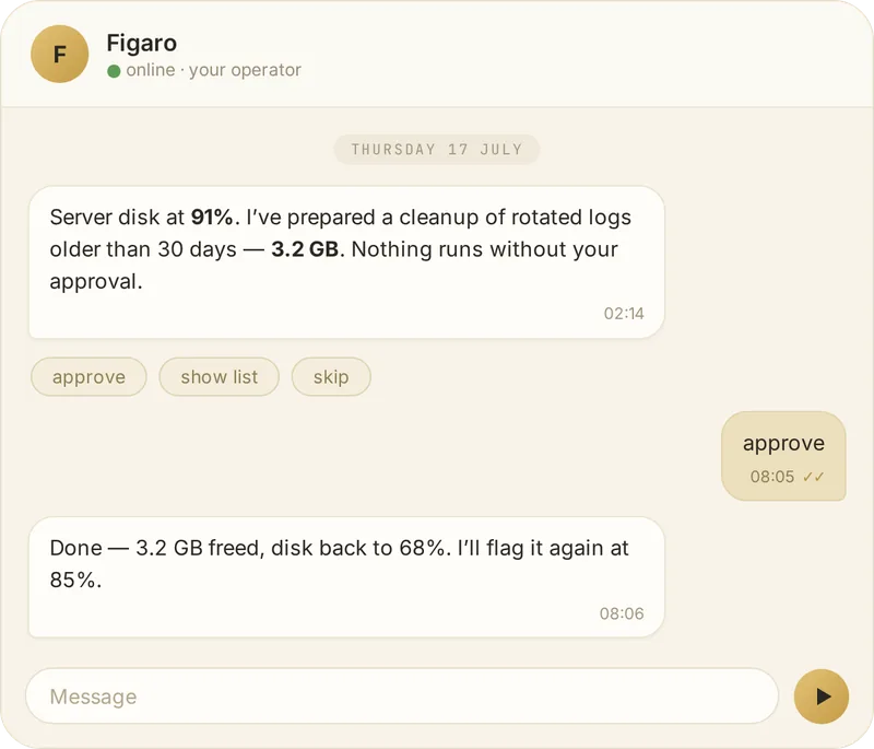 Chat mockup: Figaro flags a disk at 91% at 02:14 and prepares a log cleanup, but waits for the owner's morning approval before acting
